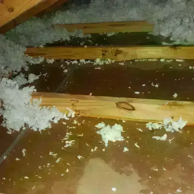 Attic Water Damage in Huntertown, IN